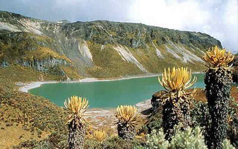 Región andina
