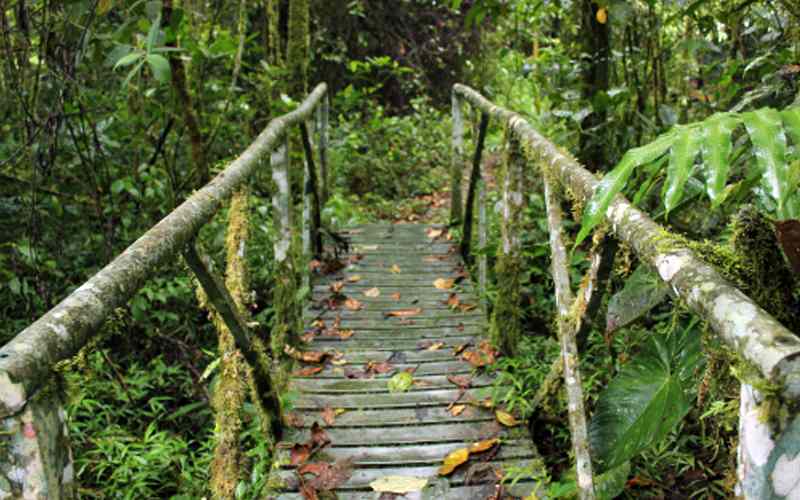 Santuario de Flora y Fauna Otun Quimbaya