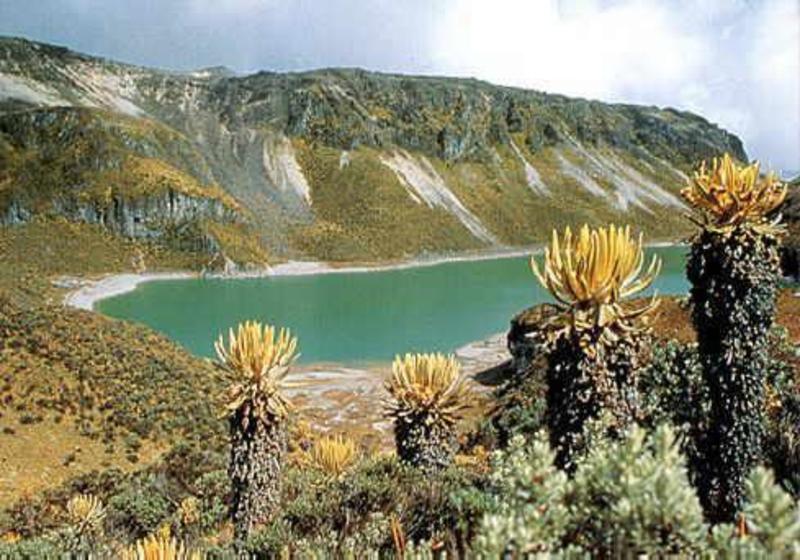 Región Andes Occidentales