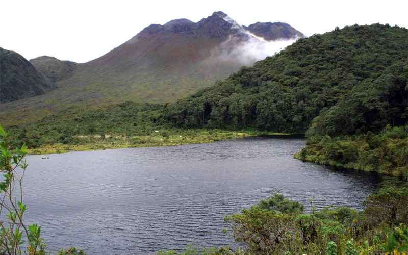 Parque Nacional Natural Complejo Volcánico Doña Juana Cascabel