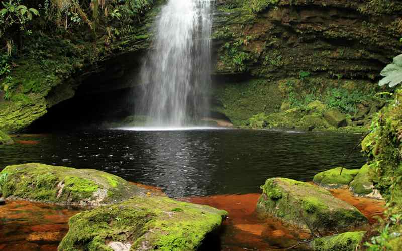 Parque Nacional Natural Cueva de los Guacharos