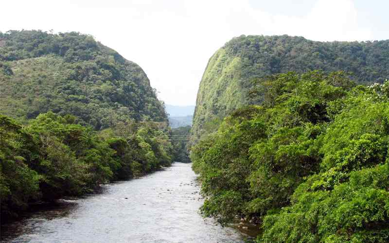 Parque Nacional Natural Alto Fragua Indi Wasi