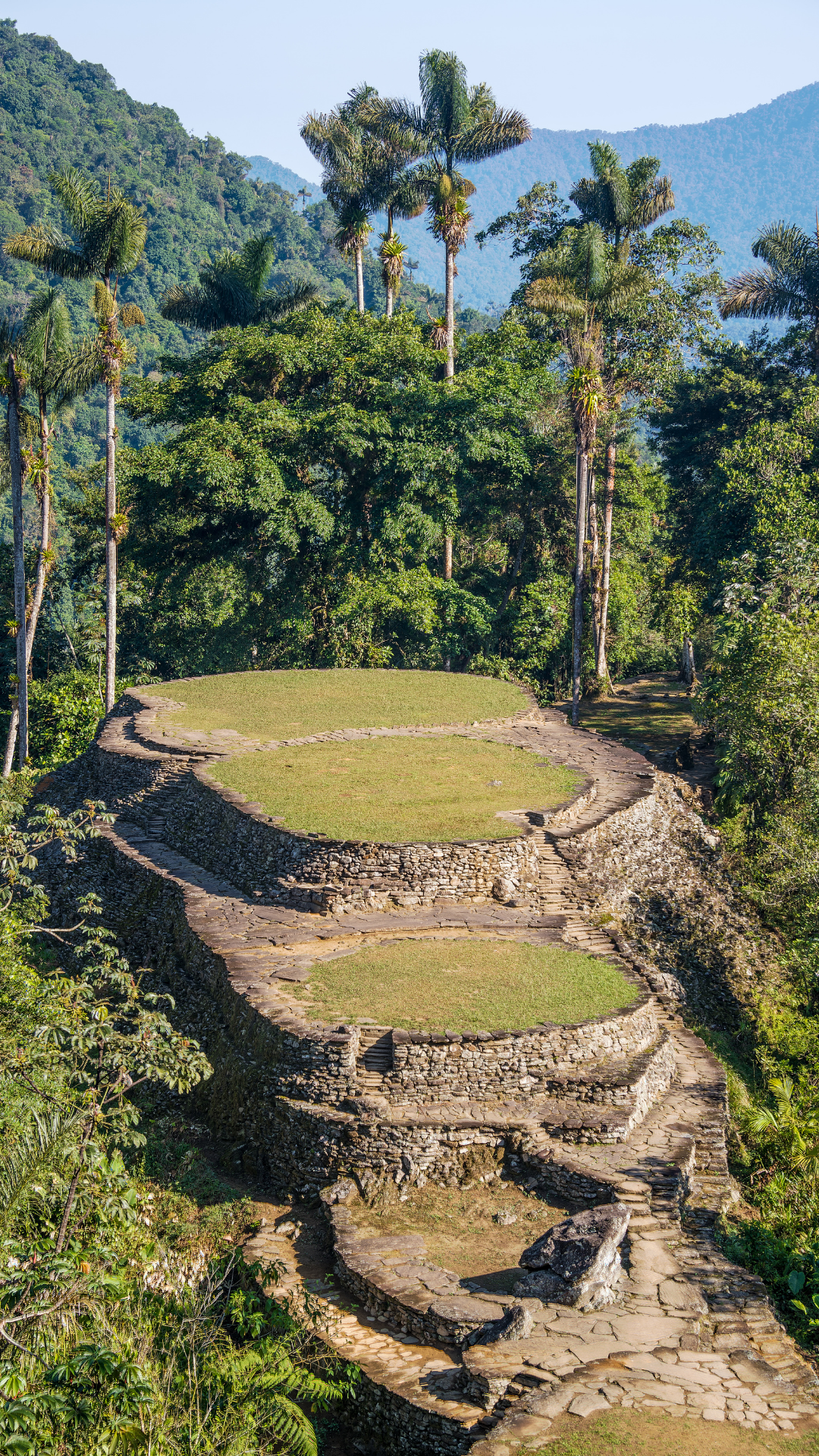 Familia Tayrona Sierra Nevada de Santa Marta