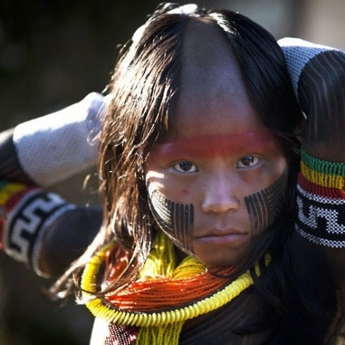 Cosmovisión Tupí Guaraní