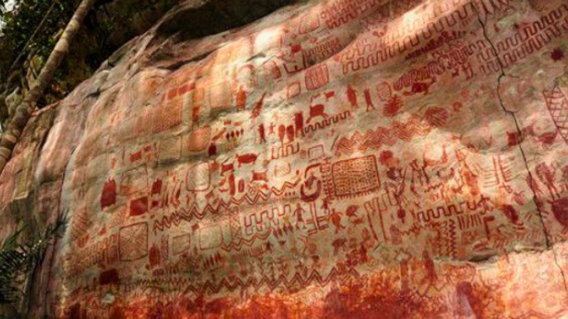 Arte Rupestre - Parque Nacional Natural de Chiribiquete