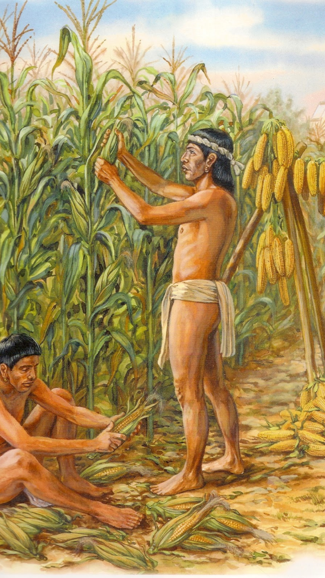 Familias Lingüísticas de Colombia