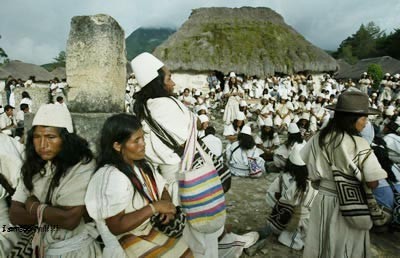 Parque Tayrona - Koguis
