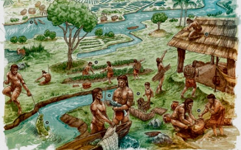 Sistem Hidraúlico Zenues