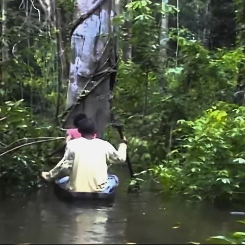 Navegación Canoa Piapoco