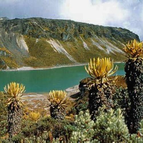 Chingaza Parque Nacional Natural