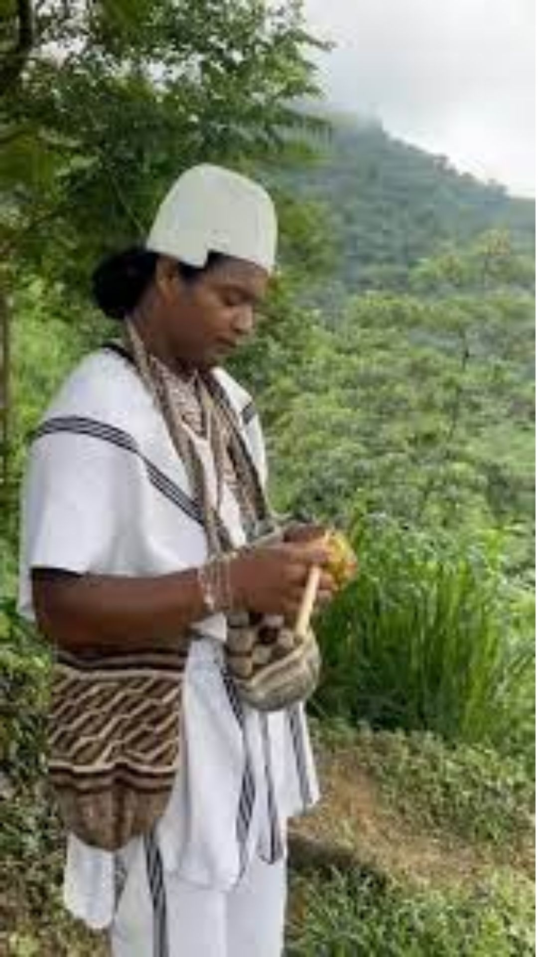 El poporo y la hoja de coca