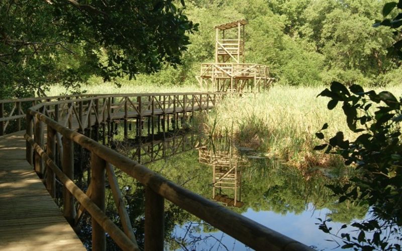 Senderismo Isla de Salamanca