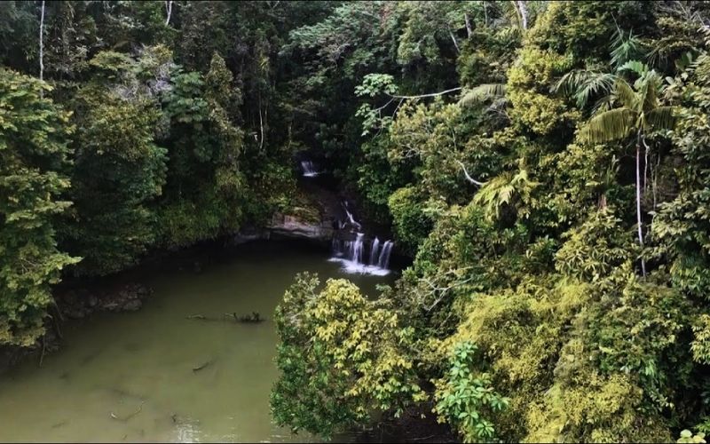 Uramba Bahía Málaga Manglares