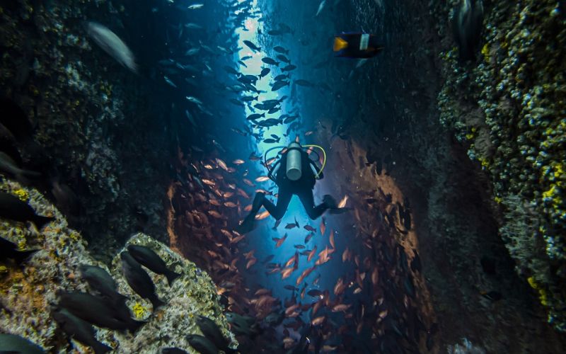 Buceo La catedral Malpelo