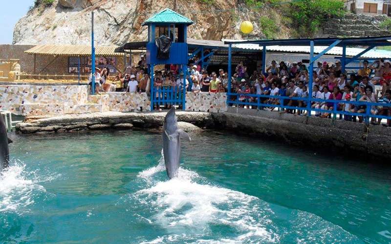 Acuario y Museo del Mar Santa Marta