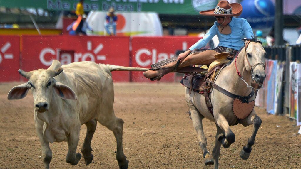 Festival del Coleo Villavicencio