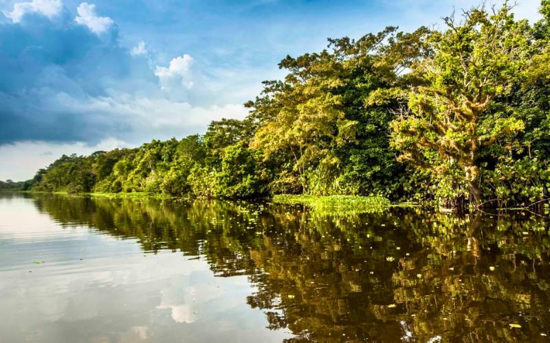 Parque Nacional Natural de Los Katíos