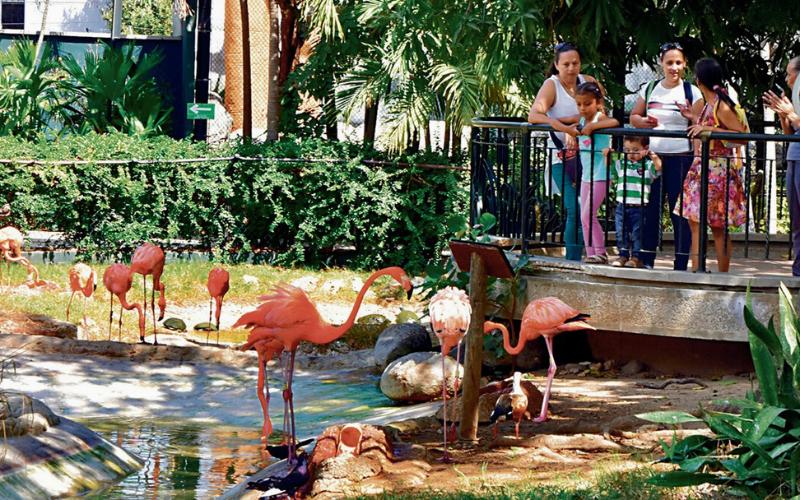 Fundación Zoológico de Barranquilla