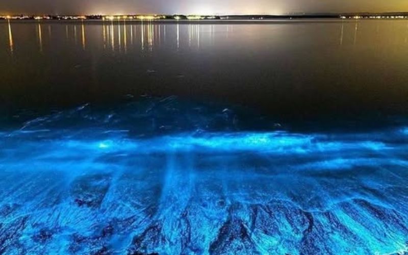 plancton luminiscente por Playa Blanca