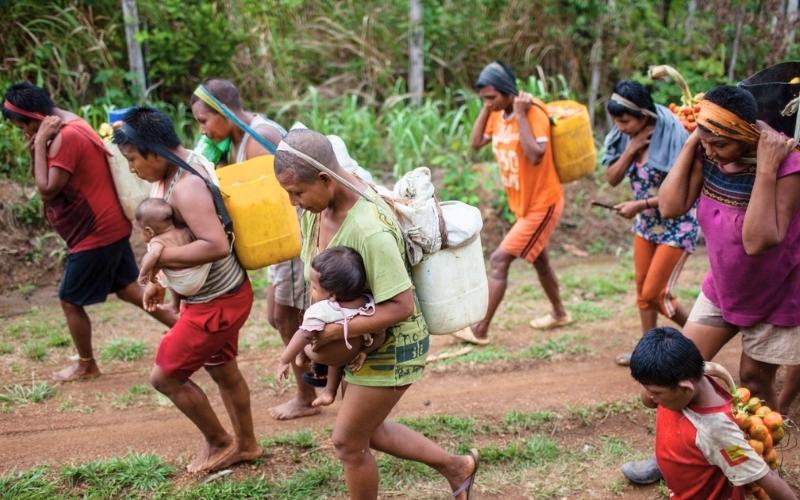 Grupo Nómadas Nukak Makú