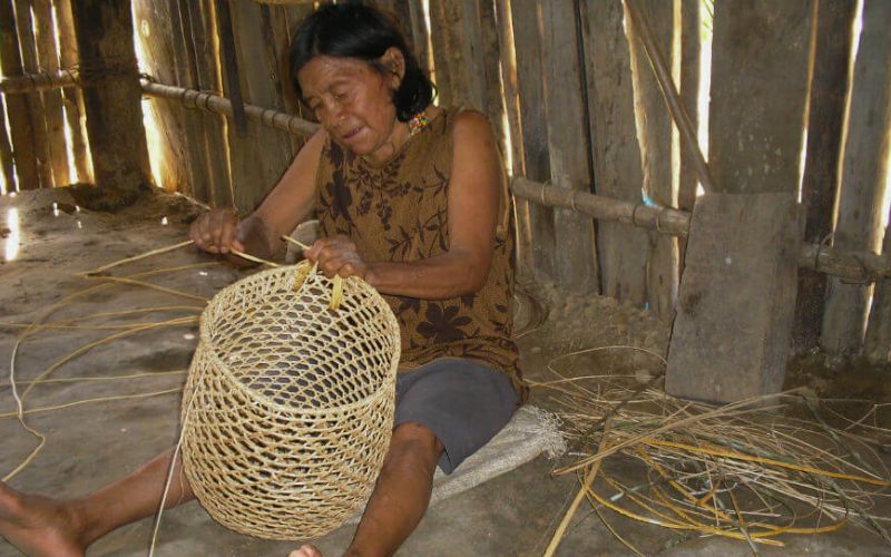 Mujer Barí tejiendo Canasto