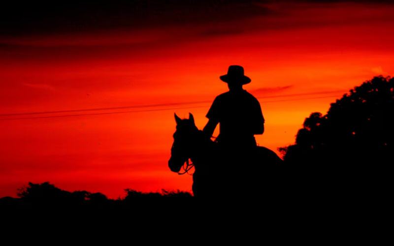 vaquero-velando-ganado-al-atardecer