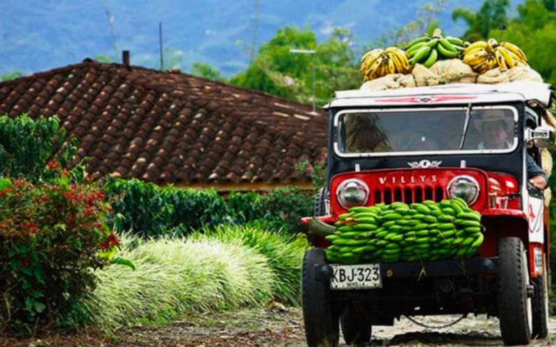 el-arriero-y-el-yipao