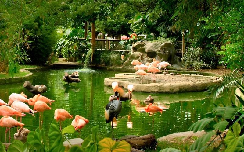 Parque de la Conservación - Antiguo Zoológico de Medellín