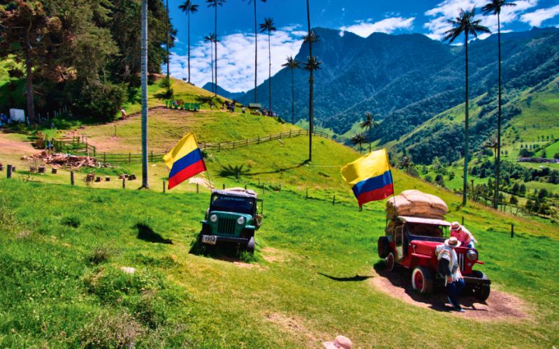 paisaje-tipico-yipaos-en-las-montañas