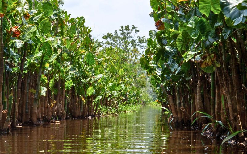 zonas-inundables-katios